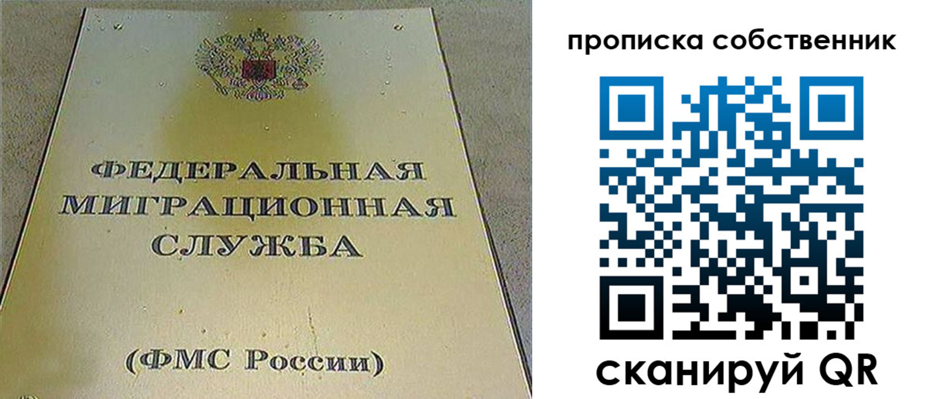 где прописаться в Тосно